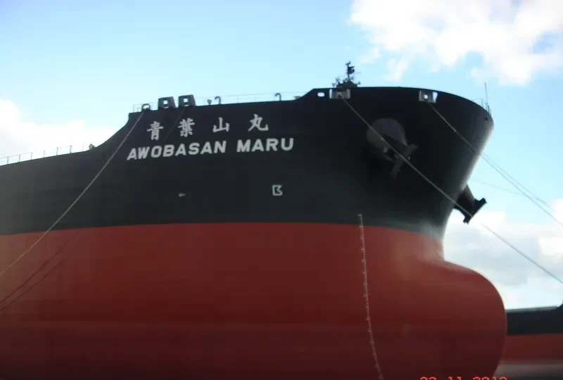 AWOBASAN MARU Bulk Carrier IMO 9489510 photo 7