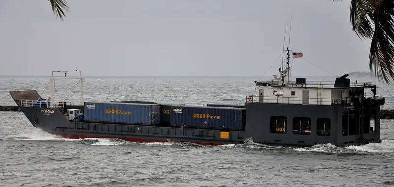 VI NAIS Ro-Ro IMO 9489675 photo 8
