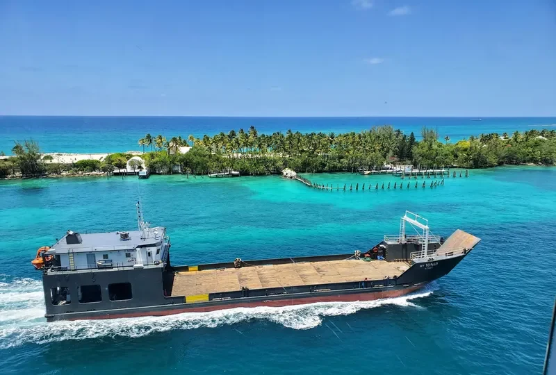 VI NAIS Ro-Ro IMO 9489675 photo 10