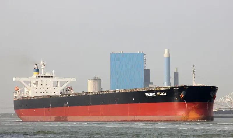MINERAL HAIKU Bulk Carrier IMO 9489845 photo 2