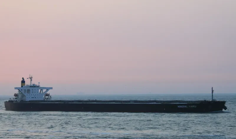MINERAL HAIKU Bulk Carrier IMO 9489845 photo 3