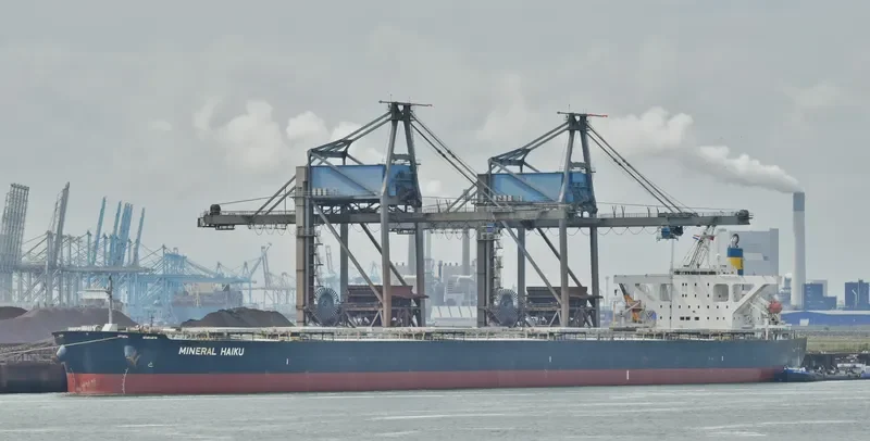 MINERAL HAIKU Bulk Carrier IMO 9489845 photo 4