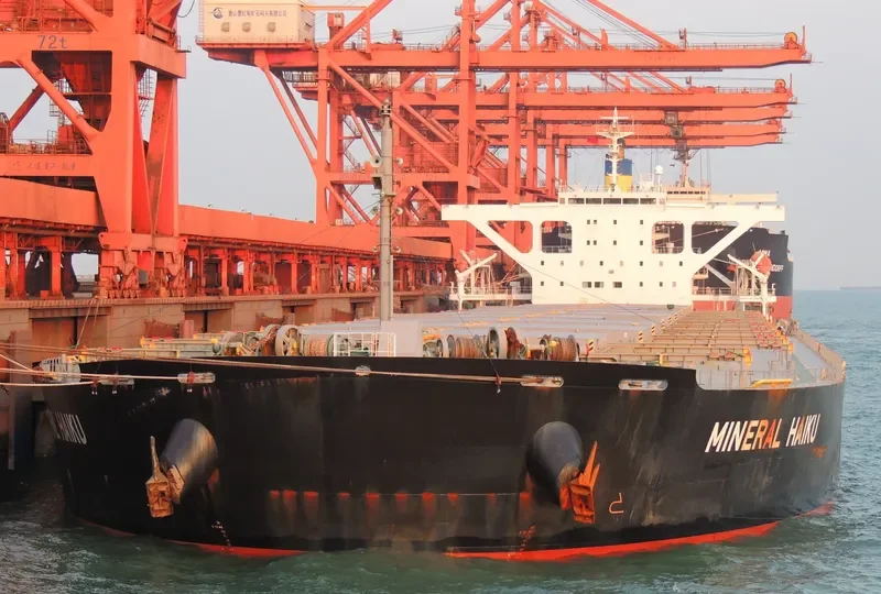 MINERAL HAIKU Bulk Carrier IMO 9489845 photo 5
