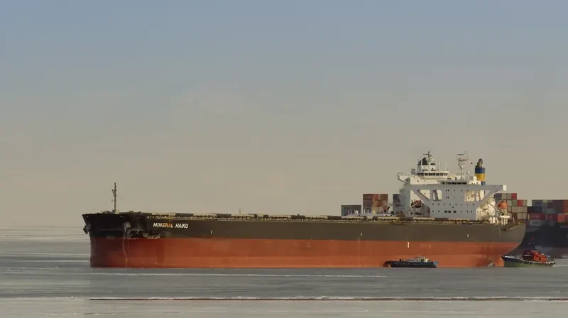 MINERAL HAIKU Bulk Carrier IMO 9489845 photo 9