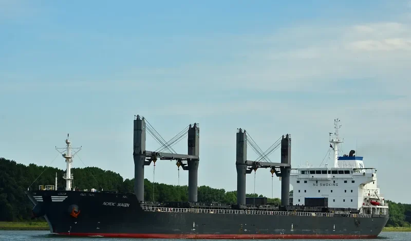 NORDIC SKAGEN Bulk Carrier IMO 9489986 photo 5