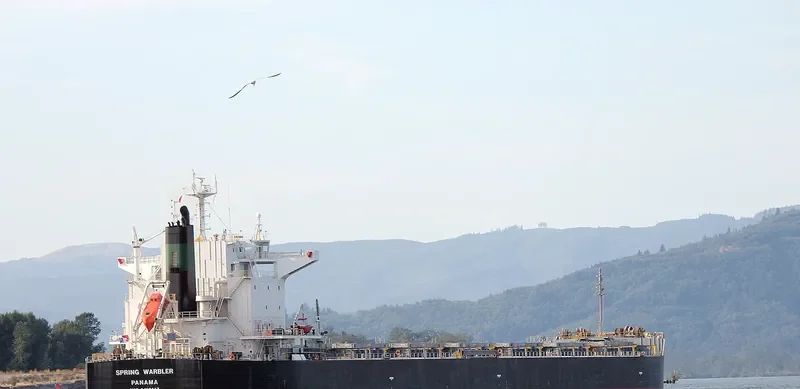 SPRING WARBLER Bulk Carrier IMO 9490117 photo 2