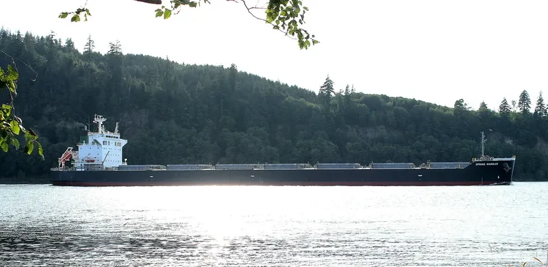 SPRING WARBLER Bulk Carrier IMO 9490117 photo 4