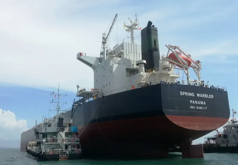 SPRING WARBLER Bulk Carrier IMO 9490117 photo 6