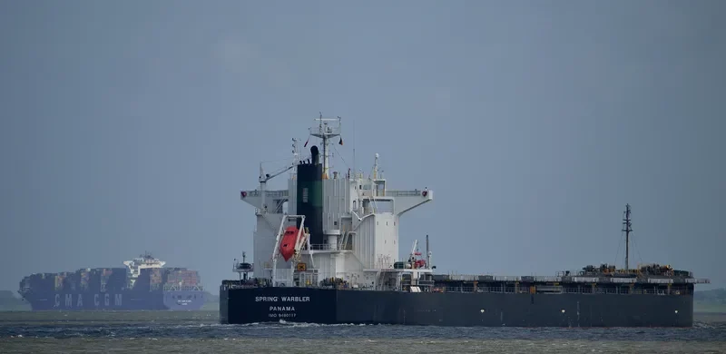 SPRING WARBLER Bulk Carrier IMO 9490117 photo 8