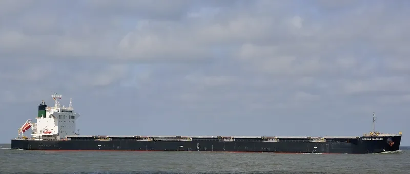 SPRING WARBLER Bulk Carrier IMO 9490117 photo 9