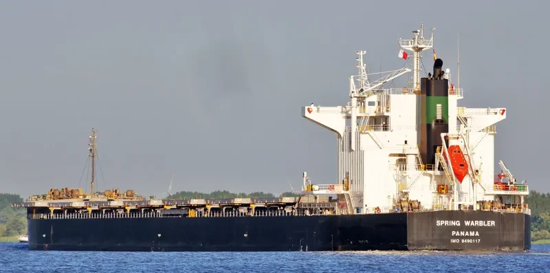 SPRING WARBLER Bulk Carrier IMO 9490117 photo 10
