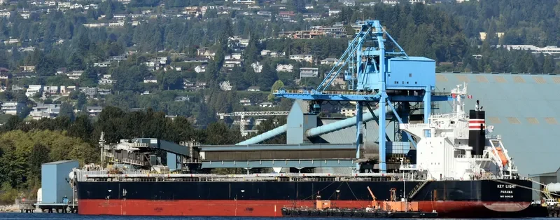 KEY LIGHT Bulk Carrier IMO 9490129 photo 2