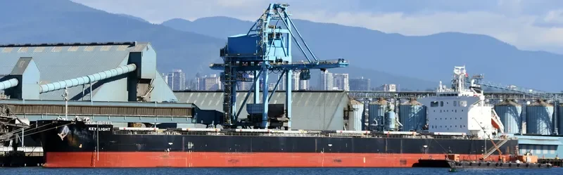 KEY LIGHT Bulk Carrier IMO 9490129 photo 3