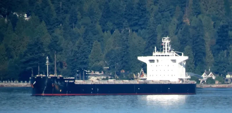 KEY LIGHT Bulk Carrier IMO 9490129 photo 9