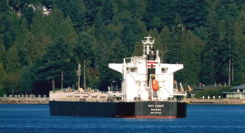 KEY LIGHT Bulk Carrier IMO 9490129 photo 10