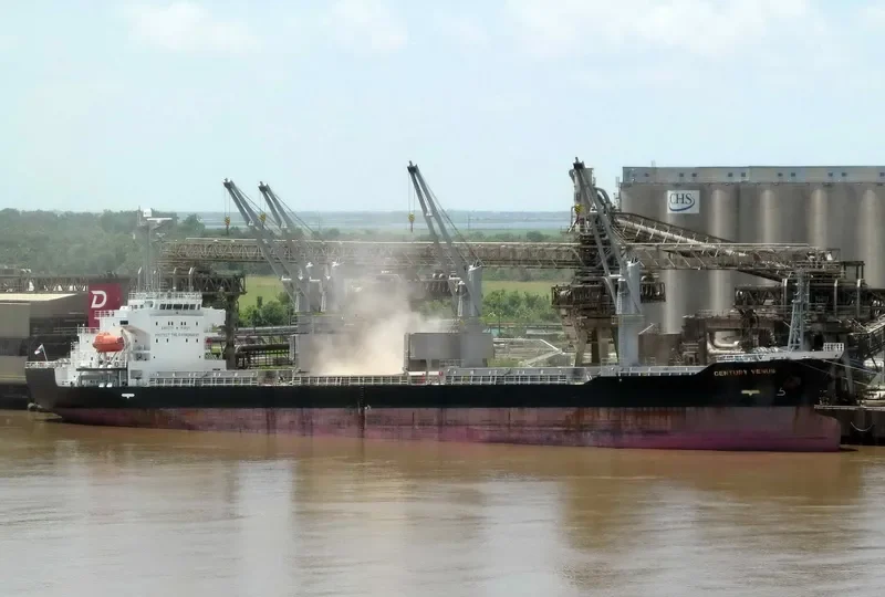 CENTURY VENUS Bulk Carrier IMO 9490260 photo 4