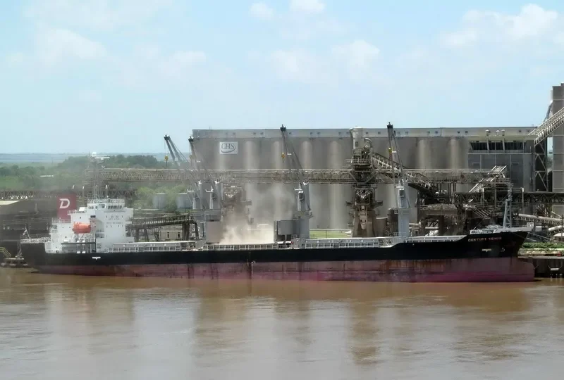 CENTURY VENUS Bulk Carrier IMO 9490260 photo 5