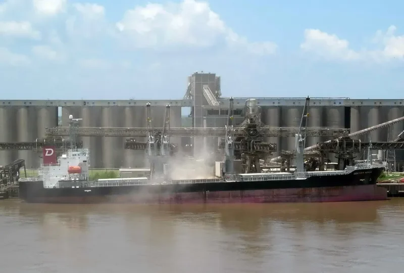 CENTURY VENUS Bulk Carrier IMO 9490260 photo 6