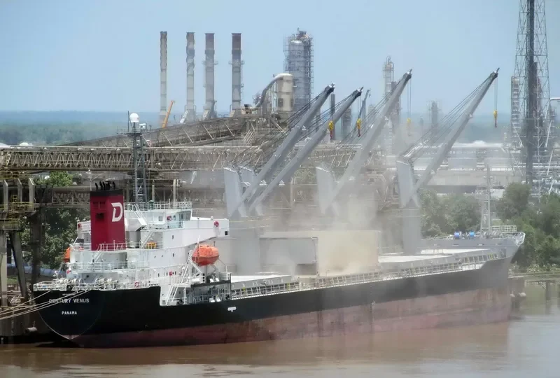 CENTURY VENUS Bulk Carrier IMO 9490260 photo 8