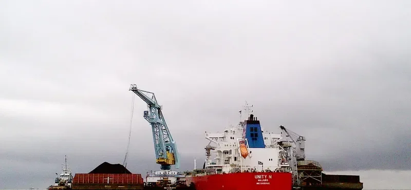 UNITY N Bulk Carrier IMO 9490466 photo 3