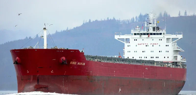 UNITY N Bulk Carrier IMO 9490466 photo 8