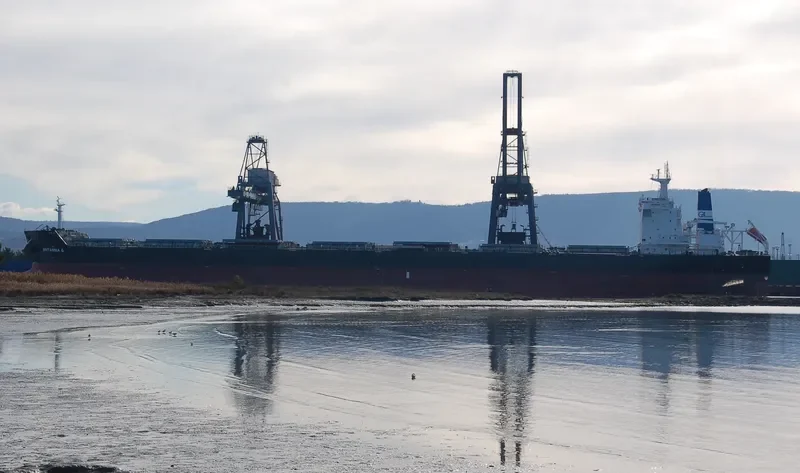 ANGLO MARIE LOUISE Bulk Carrier IMO 9490492 photo 2