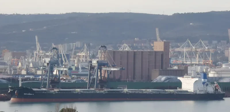 ANGLO MARIE LOUISE Bulk Carrier IMO 9490492 photo 6