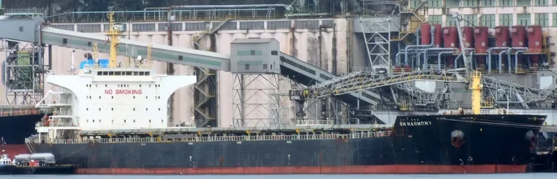 GH HARMONY Bulk Carrier IMO 9490557