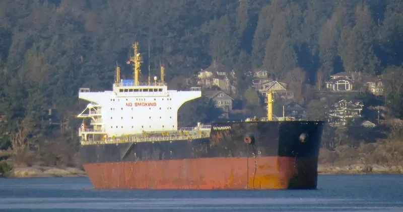 GH HARMONY Bulk Carrier IMO 9490557 photo 4