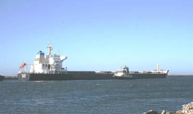 GH HARMONY Bulk Carrier IMO 9490557 photo 6