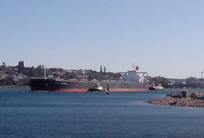 GREAT PERSEUS Bulk Carrier IMO 9490600 photo 5