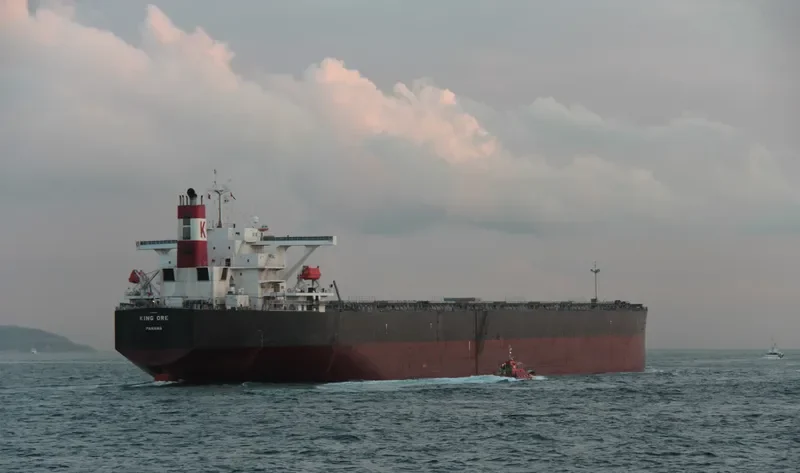 CAPE SARINA Bulk Carrier IMO 9490612 photo 3