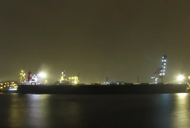 CAPE SARINA Bulk Carrier IMO 9490612 photo 7