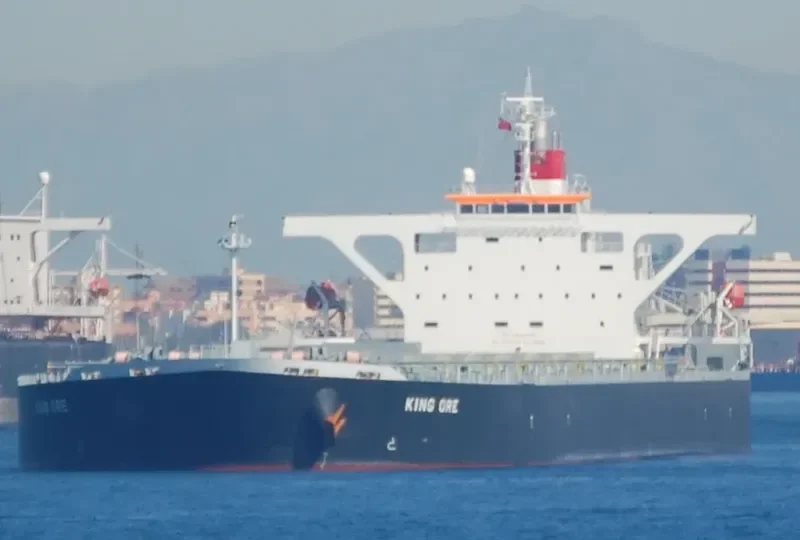 CAPE SARINA Bulk Carrier IMO 9490612 photo 8