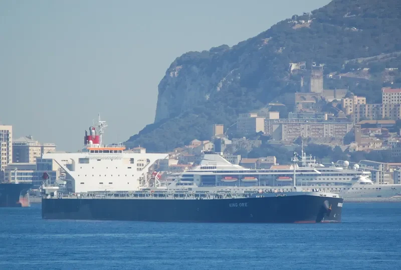 CAPE SARINA Bulk Carrier IMO 9490612 photo 9