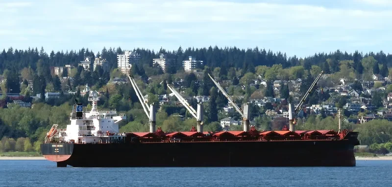 GENCO ARDENNES Bulk Carrier IMO 9490636 photo 5