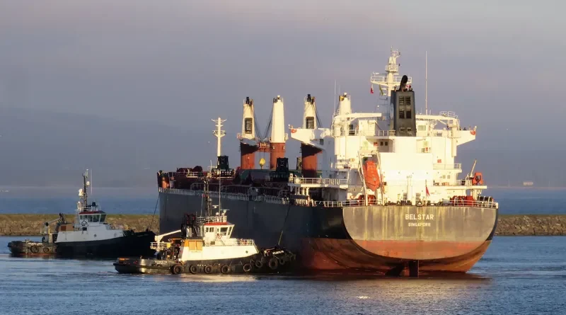 BELSTAR Bulk Carrier IMO 9490648 photo 8