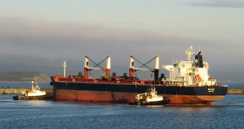 BELSTAR Bulk Carrier IMO 9490648 photo 9