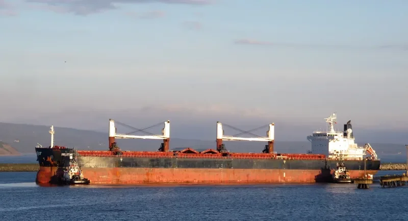 BELSTAR Bulk Carrier IMO 9490648 photo 10