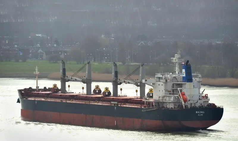 HANSEATIC EAGLE Bulk Carrier IMO 9490674 photo 2