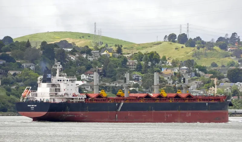 GENCO BRITTANY Bulk Carrier IMO 9490698 photo 8