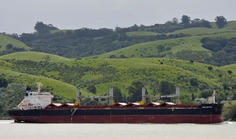 GENCO BRITTANY Bulk Carrier IMO 9490698 photo 9