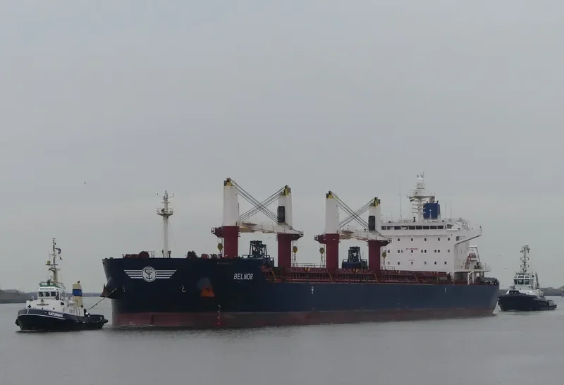 BELNOR Bulk Carrier IMO 9490703 photo 2