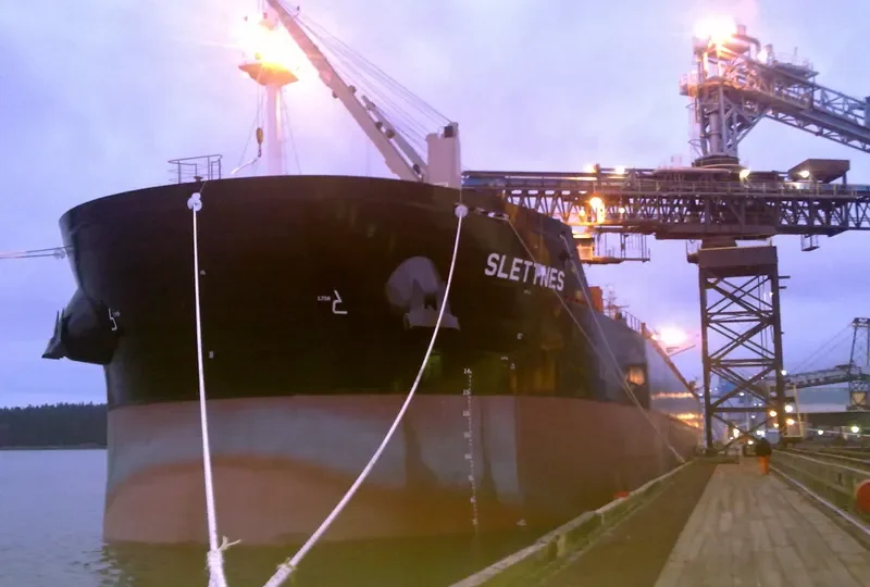 NORMA Bulk Carrier IMO 9490739 photo 5