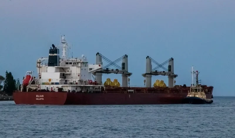 ELIAS Bulk Carrier IMO 9490777 photo 8