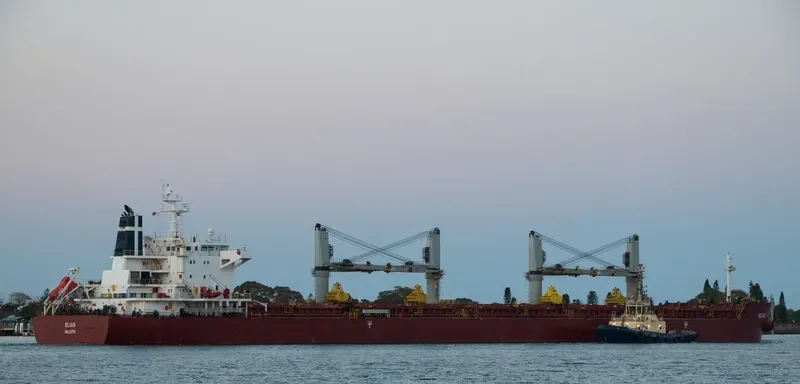 ELIAS Bulk Carrier IMO 9490777 photo 9