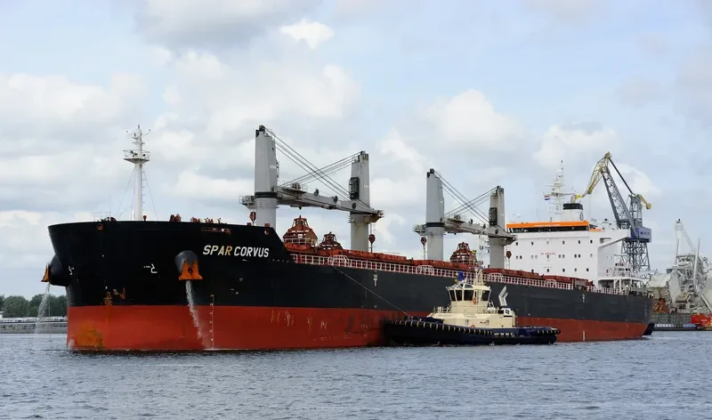 SPAR CORVUS Bulk Carrier IMO 9490791 photo 8