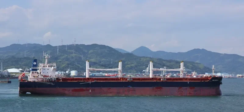 INGWAR SELMER Bulk Carrier IMO 9490818