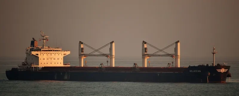 INGWAR SELMER Bulk Carrier IMO 9490818 photo 5