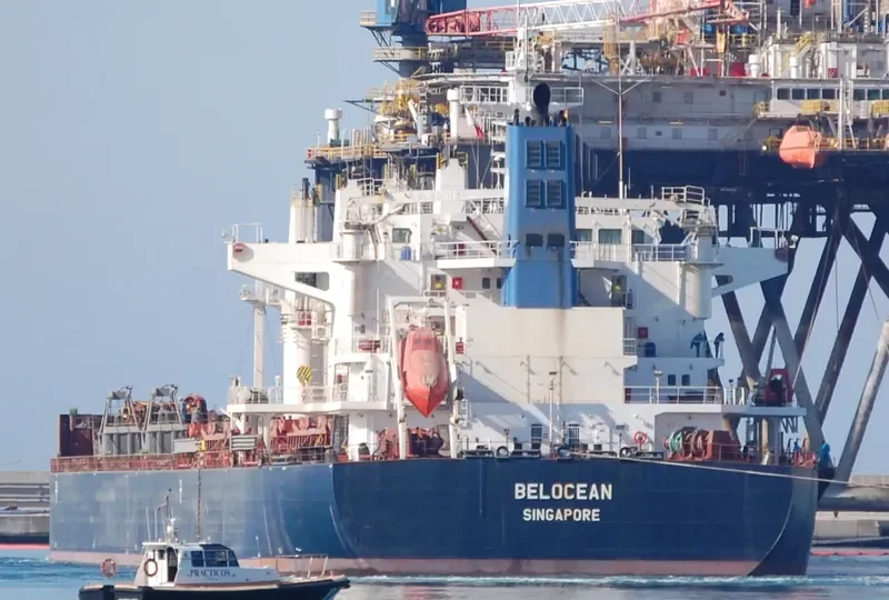 INGWAR SELMER Bulk Carrier IMO 9490818 photo 7